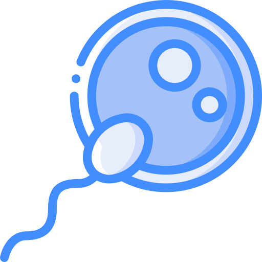 In Vitro Fertilization